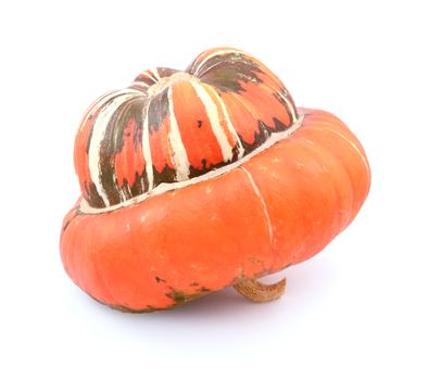 Profile of large Turks Turban gourd, with a smooth orange cap, resting on its stem on a white background