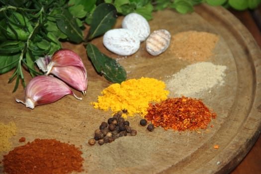 aromatic herbs from the organic garden and spices for cooking