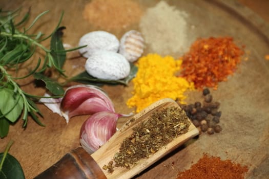 aromatic herbs from the organic garden and spices for cooking