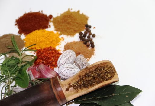 aromatic herbs from the organic garden and spices for cooking