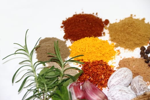 aromatic herbs from the organic garden and spices for cooking