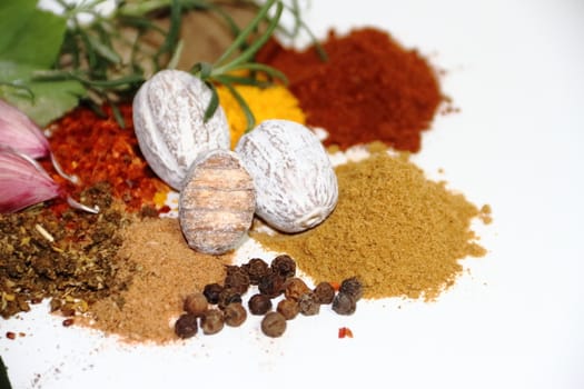 aromatic herbs from the organic garden and spices for cooking