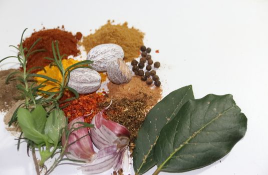 aromatic herbs from the organic garden and spices for cooking