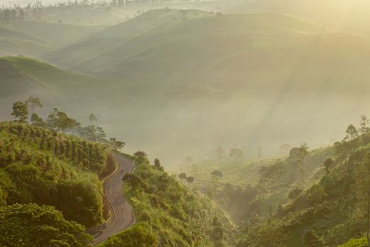 before the sun comes up, the expanse of the hill visible from the top of the hill is shrouded in mist