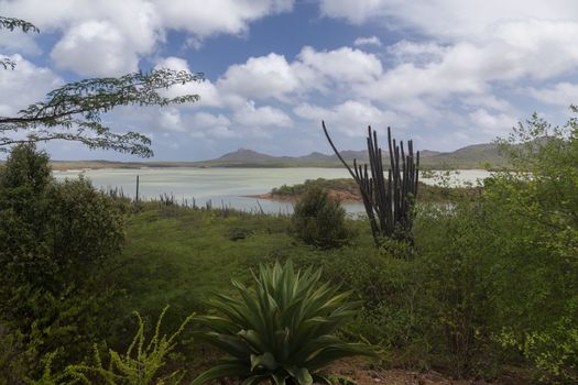 sea beach coast tropical Bonaire island Caribbean sea