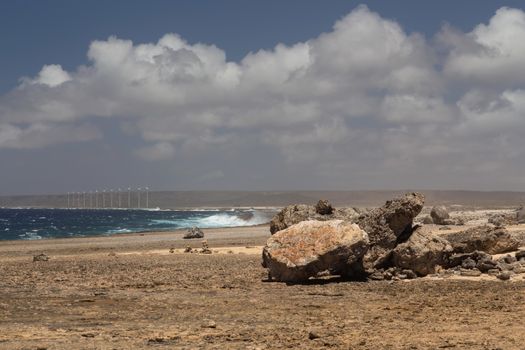 sea beach coast tropical Bonaire island Caribbean sea