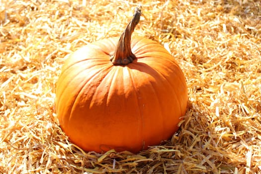 The picture shows a halloween pumpkin on straw
