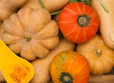 variety of fresh squash