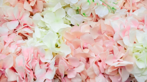 wall of large white and pink flowers-peonies