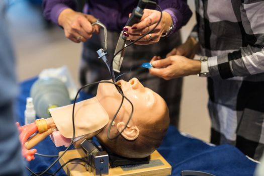 Medical doctor specialist expert displaying method of patient intubation technique on hands on medical education training and workshop.