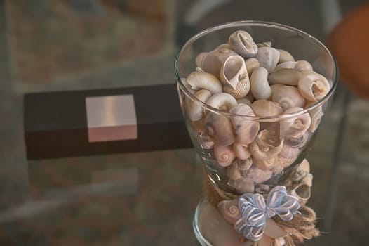 Still life with a transparent glass vase full of shells from the sea. Souvenir used as an ornamental element.