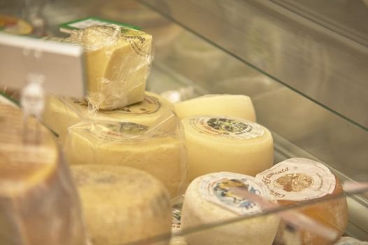 Detail of some small forms of cheese in the shop's refrigeration counter.