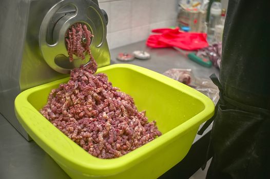 Machine to grind meat in action while filling a container of minced meat ready to use.