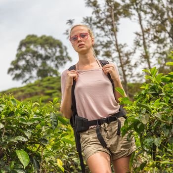 Active caucasian blonde woman enjoing fresh air and pristine nature while tracking among tea plantaitons near Ella, Sri Lanka. Bacpecking outdoors tourist adventure.