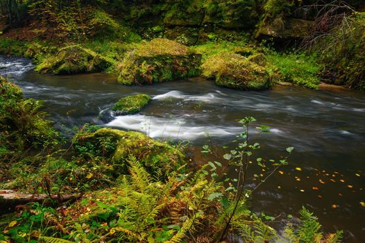 A beautifully clean river flowing through a colorful autumn forest