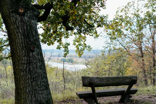 Blank wooden banch in the park in autumn time.