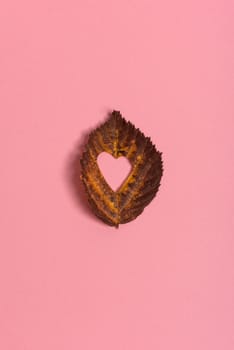 Background group autumn orange, green, yellow and brown leaves. with the heart shape cut out in the middle on pink background. Studio shoot. View from above. Horizontal orientation. Copy space.