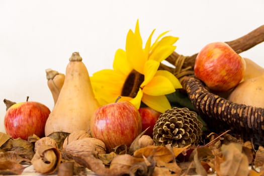 autumn harvest with apples sunflower nuts and dried leaves