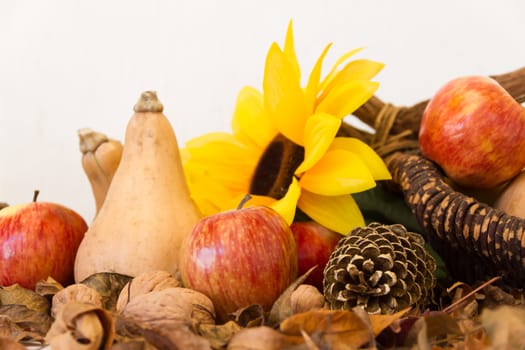 autumn harvest with apples sunflower nuts and dried leaves