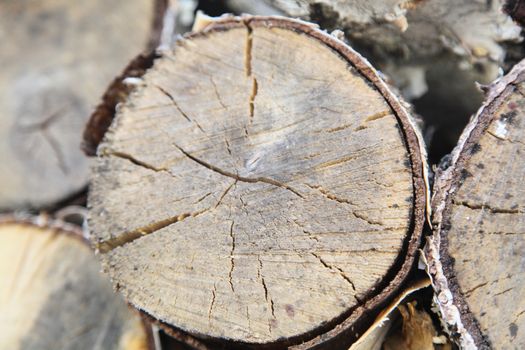 In the photo the birch is cut. The background of the wood