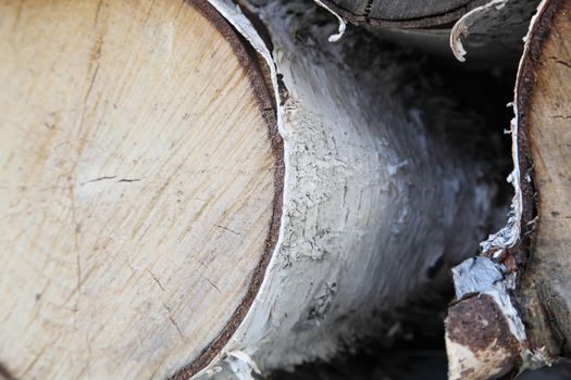 In the photo the birch is cut. The background of the wood