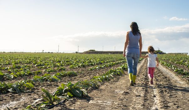 Woman farmer and little girl walking on the agriculture land. Child and mother in plantation. Sun light and shadows.