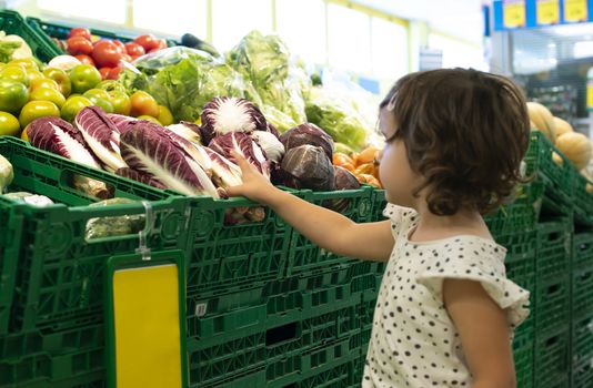 Child shopping radicchio in supermarket. Concept for buying  vegetables in hypermarket. Little girl hold shopping basket.