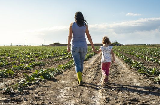 Woman farmer and little girl walking on the agriculture land. Child and mother in plantation. Sun light and shadows.