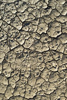 Cracked soil texture. Hard shadows and sun. Dried ground. Pattern of many cracks for background. 