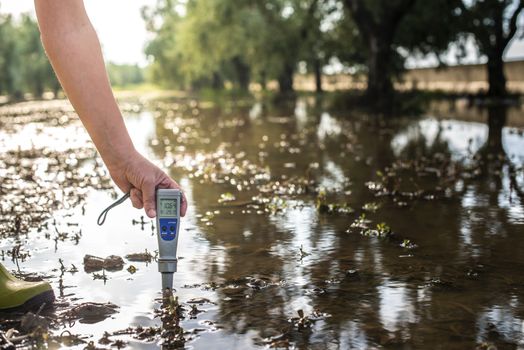 Measure water content with digital device. Sunrise over the water. PH meter.