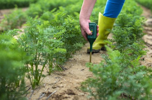 Measure soil with digital device. Green plants and woman farmer measure PH and moisture in the soil. High technology agriculture concept.