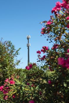 Telecommunication 5G transmitters. GSM antenna on blue sky. Antenna in the nature. New 5G technology concept. Green foliage and trees.