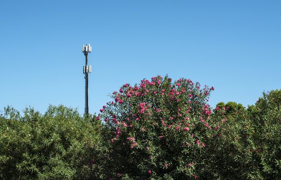Telecommunication 5G transmitters. GSM antenna on blue sky. Antenna in the nature. New 5G technology concept. Green foliage and trees.