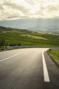 Asphalt road, vineyards and olive trees in countryside. Wine and food travel concept. Italian agriculture.