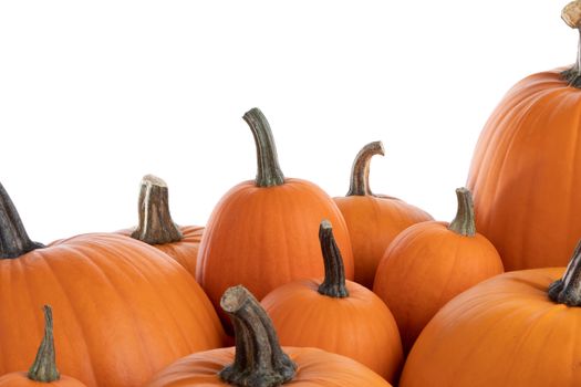 Heap of many orange pumpkins isolated on white background , Halloween concept