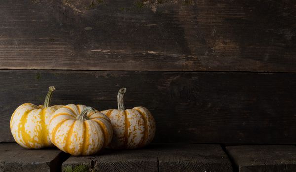 Three striped yellow pumpkins on old dark wooden background , Halloween concept , copy space for text