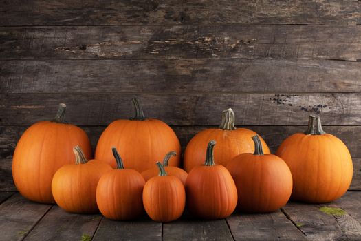 Many orange pumpkins on dark wooden background, Halloween concept