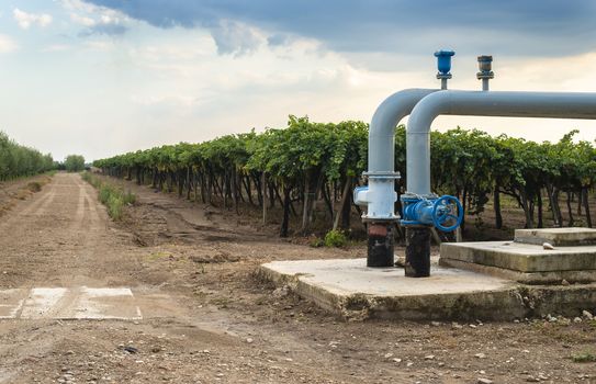 Watering pipes and vineyard. Big irrigation systems.