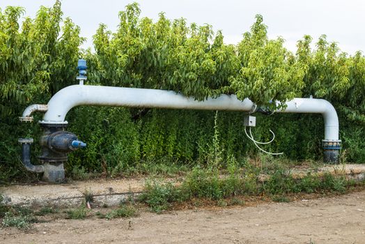Watering pipes and peaches orchard. Big irrigation systems.