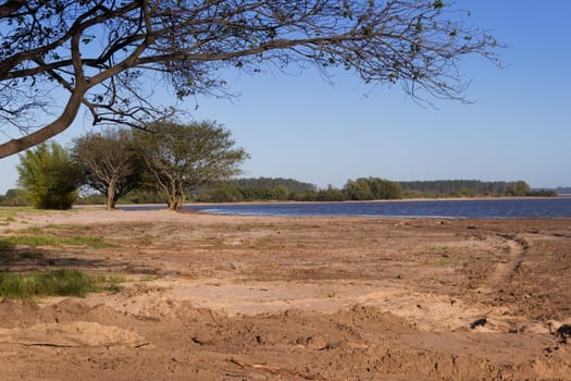 summer landscape on the banks of the river in the city of federation province of entre rios argentina