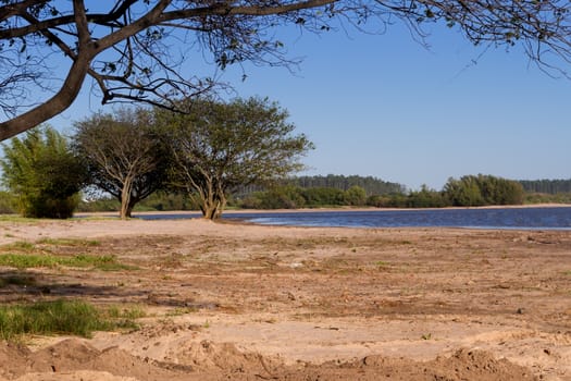 summer landscape on the banks of the river in the city of federation province of entre rios argentina