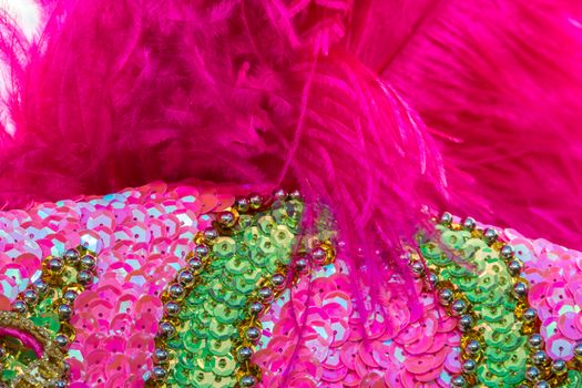 sequins embroidery of colors and glitters for the carnival