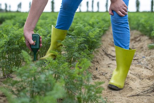 Measure soil with digital device. Green plants and woman farmer measure PH and moisture in the soil. High technology agriculture concept.