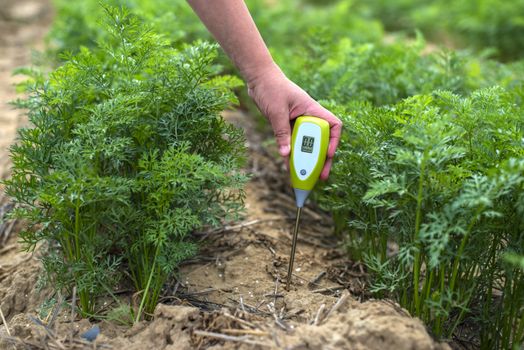 Measure soil with digital device. Green plants and woman farmer measure PH and moisture in the soil. High technology agriculture concept.