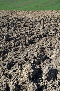 Ploughed soil close up. Sunny day. Agriculture farming concept.