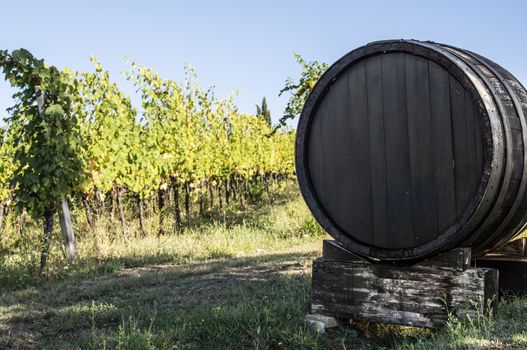 Vine valley, vineyards in rows on hill in Italy. An old wine barrel in the foreground