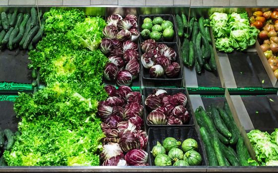 Vegetables on shelf in supermarket. Zucchini, cucumbers and lettuce.