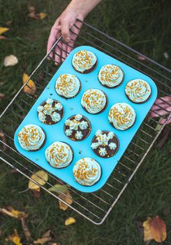 Halloween muffins. Green garden meadow and autumn leaves. Halloween colored sweets.