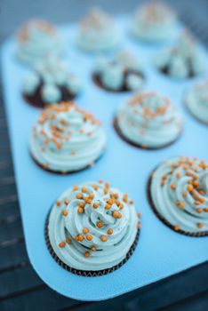 Halloween muffins. Green garden meadow and autumn leaves. Halloween colored sweets.