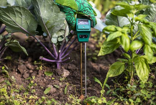 Moisture meter tester in soil. Measure soil for humidity, nitrogen and HP with digital device. Woman farmer in a garden. Concept for new technology in the agriculture.